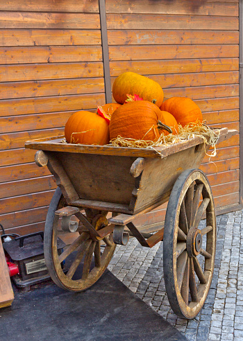 Small two-wheeled cart with bright orange autumn pumpkins