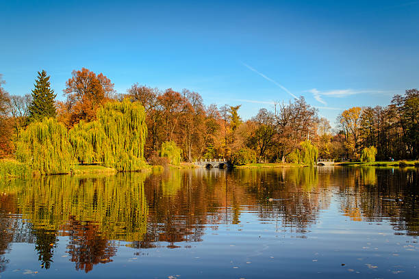 istock Autumn colors in the park 614718078