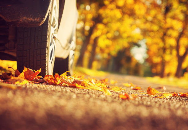 istock Car on asphalt road in autumn 614718332