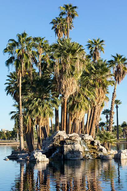 istock Palm Island, Encanto Park Lake, Phoenix, AZ 614719606