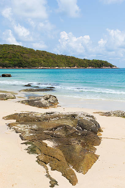 istock Sand beach with natural sea rock 614719744