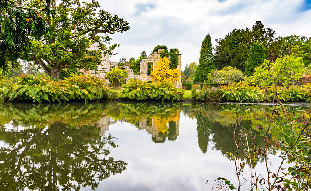 старая руина с озером - scotney castle kent england uk стоковые фото и изображения