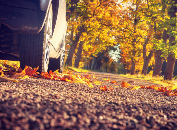 istock Car on asphalt road in autumn 614721582