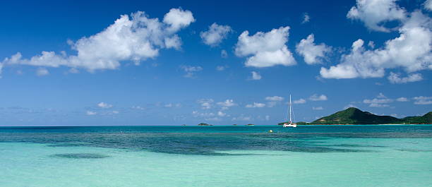 istock Catamaran boat sails in Jolly Harbor 614721890