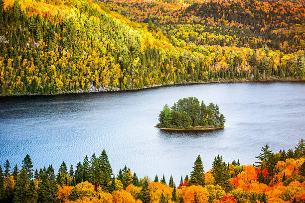 la mauricie nationalpark herbstfarben - laurentian moutains stock-fotos und bilder