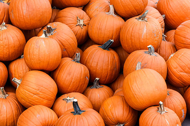 istock Heap of Pumpkins (full frame) 614723320