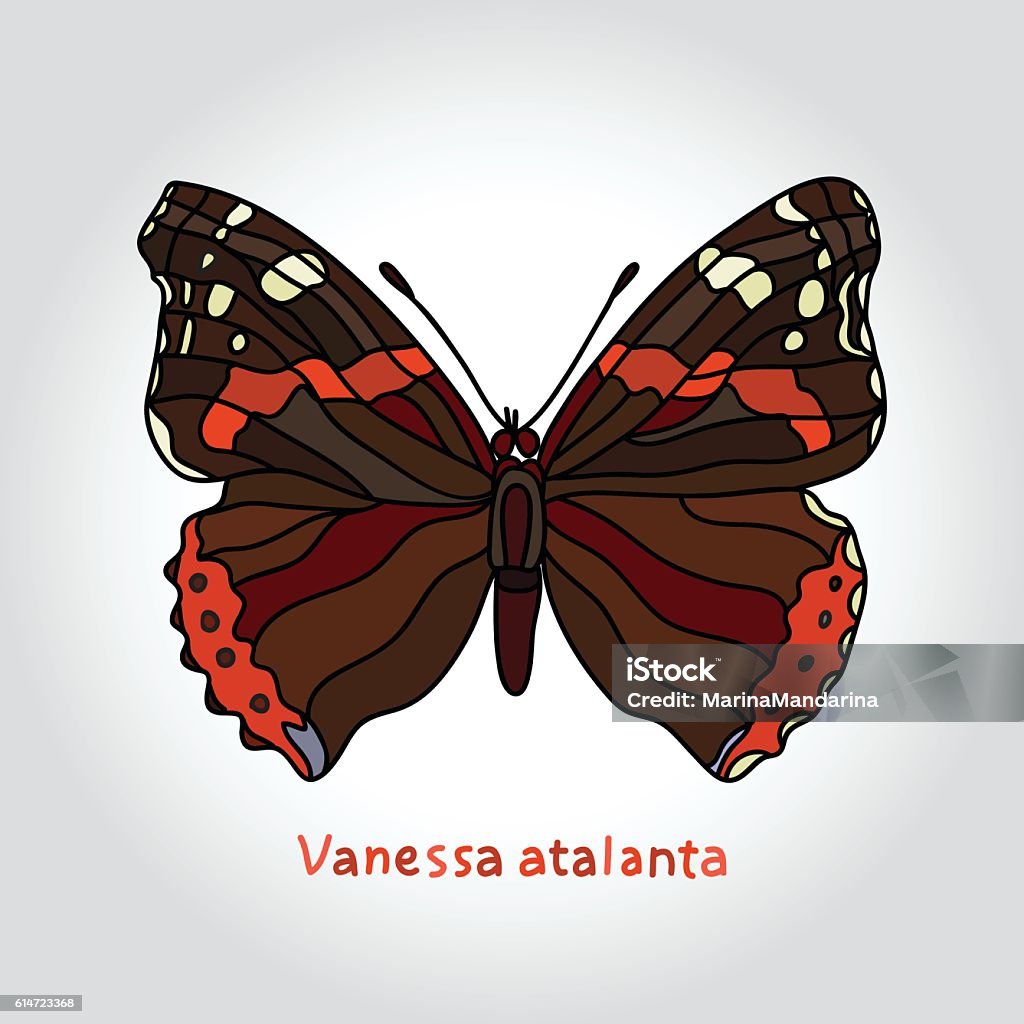 Butterfly Vanessa Atalanta. Butterfly Vanessa Atalanta. Vector illustration. Adult stock vector