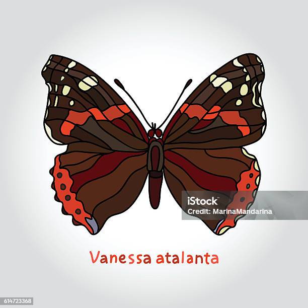 Butterfly Vanessa Atalanta Stock Illustration - Download Image Now - Adult, Animal, Animal Body Part