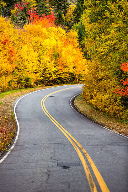 istock Road to Autumn colors 614723552