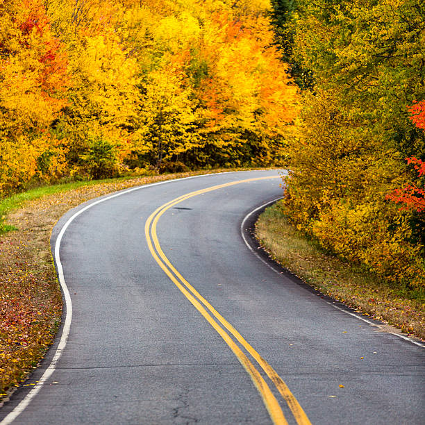 istock Road to Autumn colors 614723606