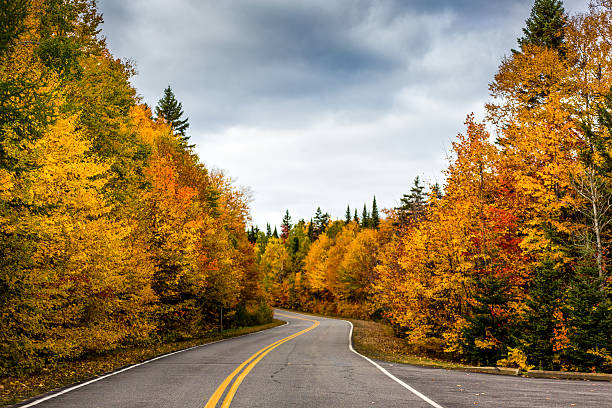 istock Road to Autumn colors 614723720