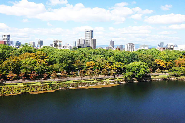 istock Osaka city skyline 614727746