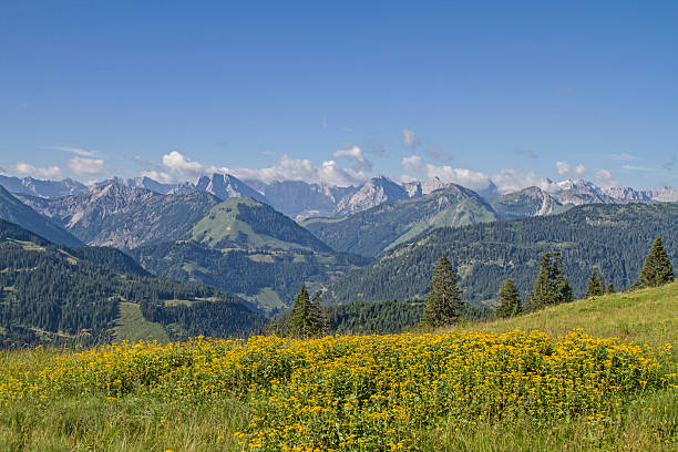 istock Summer in the Karwendel mountains 614728556