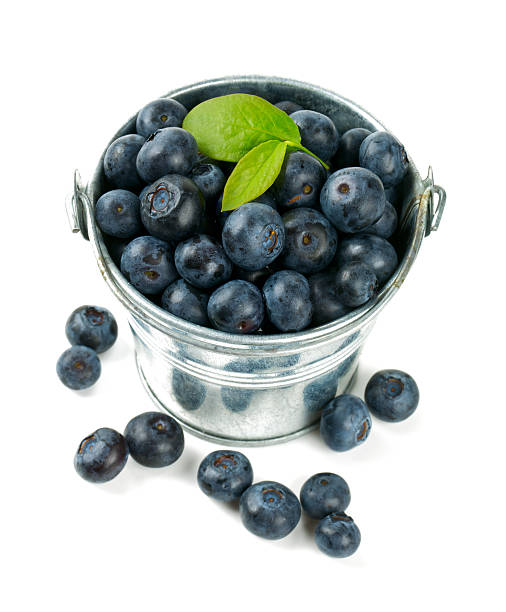 istock fresh blueberries in a bucket over white 614730316