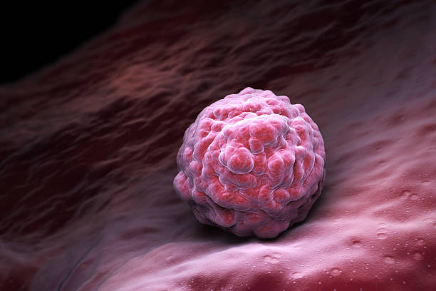 cellules souches embryonnaires  - human zygote photos et images de collection