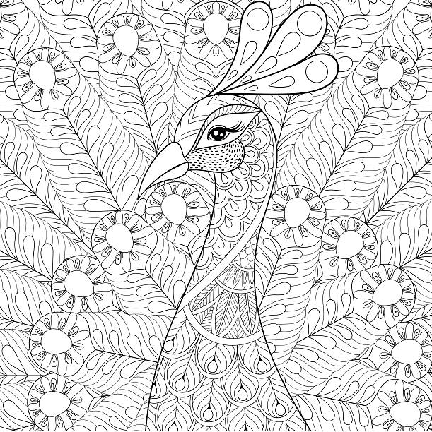 Peacock with feathers Peacock with feathers. Freehand sketch for adult antistress coloring page with doodle elements. Ornamental artistic vector illustration for tattoo, t-shirt print. Bird collection. adult coloring pages mandala stock illustrations