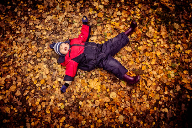 istock Little boy in autumn park 614732652