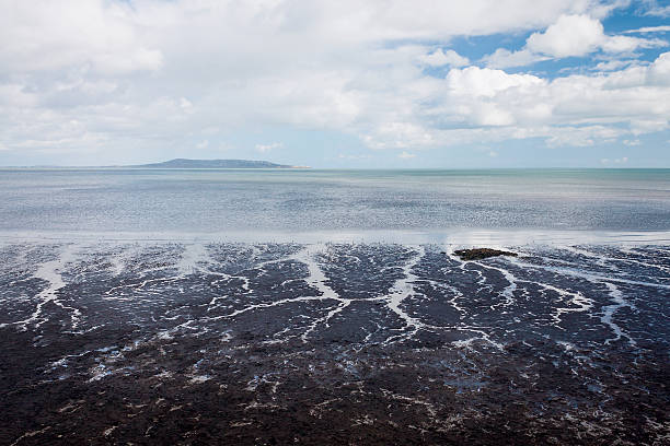Sandymount Beach at Low Tide, Dublin, Ireland