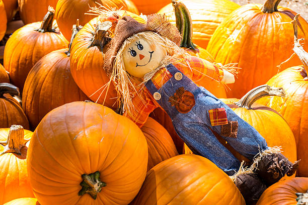 Worcester, USA - October 3, 2020. Autumn decoration at Fabulous Folks store by Valley Forge Road in Worceter Township, Pennsylvania, USA