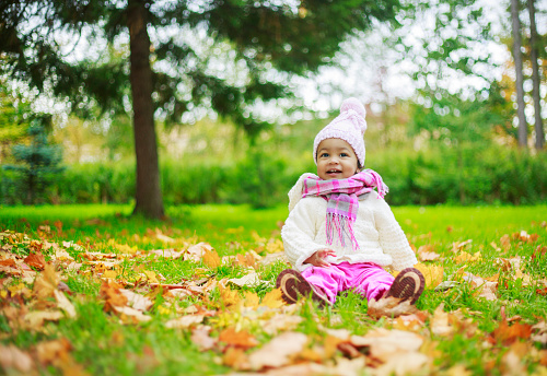 happy little girl in the autumn park