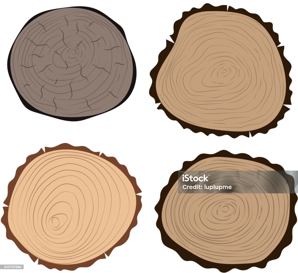 Tree Slicer Example Tree Slices Vector Isolated Stock Illustration - Download Image Now ...