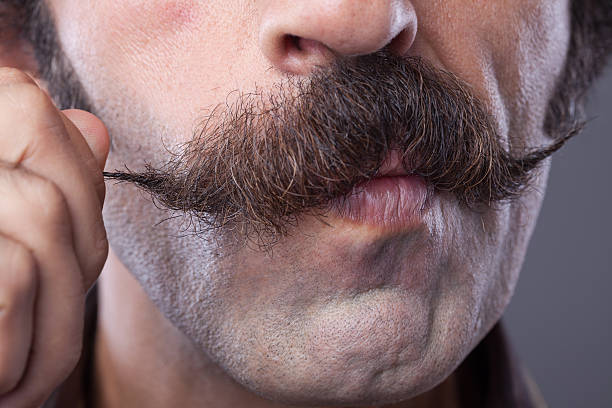 Mid adult man curling up his handle bar mustache Close up portrait of mid adult man is curling up his handle bar mustache on gray background.The model has curly hair and looking at the camera.Shot with a full frame DSLr camera in studio. mustache stock pictures, royalty-free photos & images