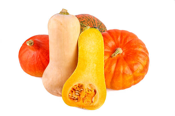 istock Colorful Pumpkins over White. Pumpkins different squash isolated on white. 614738778
