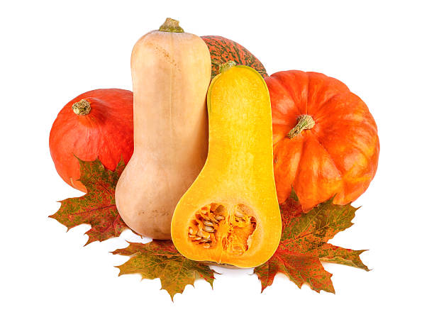 istock Colorful pumpkins with fall leaves. Different squash isolated on white. 614738806