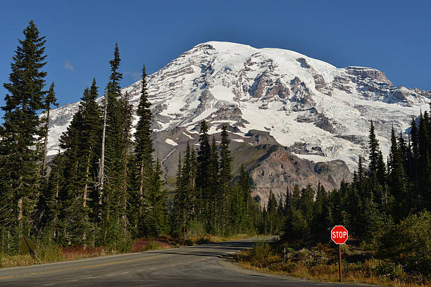 istock Mt Rainier National Park, USA 614739362