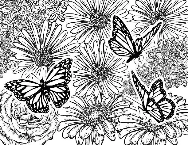 Vector illustration of Butterfly Hand Drawn Adult Coloring Book Page