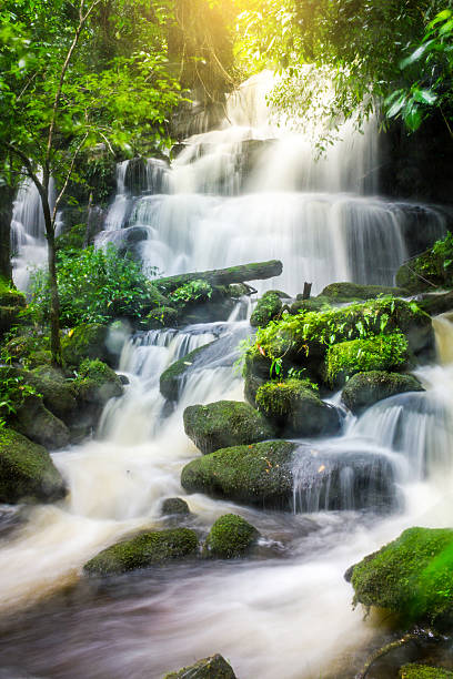 istock Waterfall in deep forest fresh green rain season in Thailand 614745868