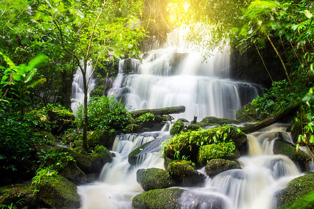 istock Waterfall in deep forest fresh green rain season 614745878