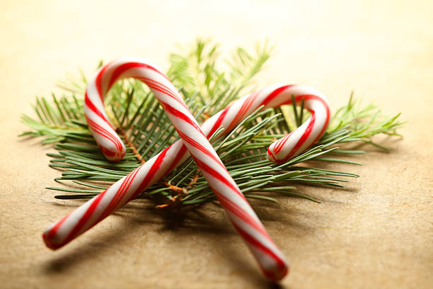 A pair of overlapping candy canes rest on top of a small pile of pines boughs.  The image is captured with a very shallow depth of field.