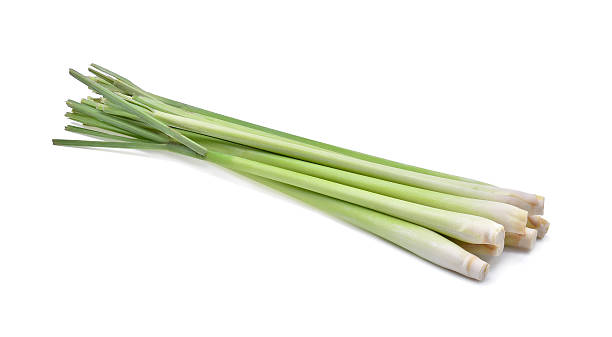 istock Fresh Lemongrass isolated on white background 614833454