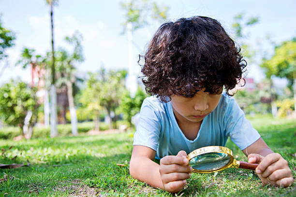 istock Little boy with magnifying glass in park 614833678