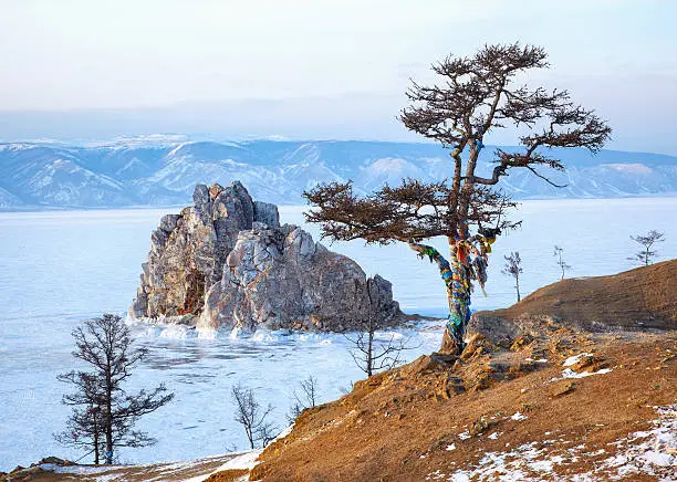 Lonely holy tree and rock Shamanka on cape Burkhan on Olkhon island in Siberian lake Baikal in winter time