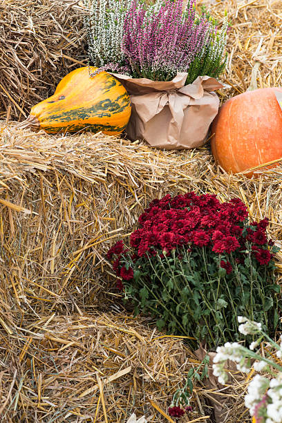 istock autumn harvest. autumn motives background 614836662