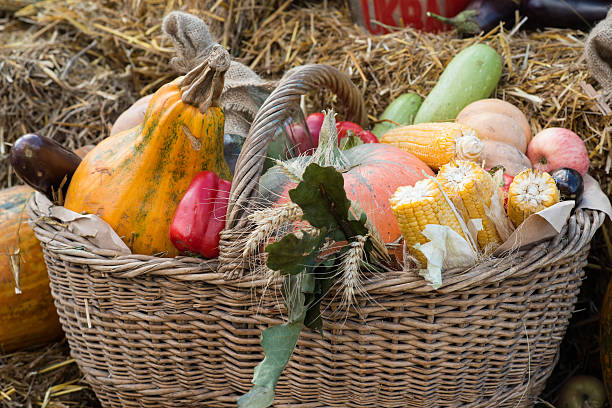 istock autumn harvest. autumn motives background 614837170