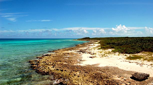 istock Coast of reefs and crystal clear waters 614837596
