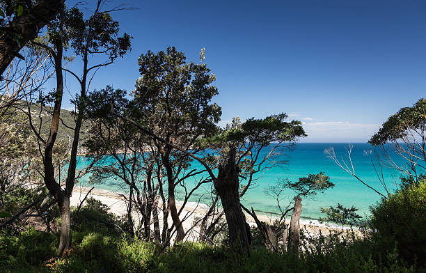 istock Wilsons Prom - Refuge Cove 614837710