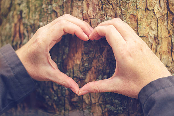 istock Female hands gesturing heart sign on tree trunk, ecology concept 614838826