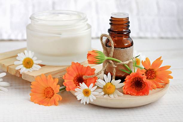 istock Fresh herbal skincare cosmetic line 614844684