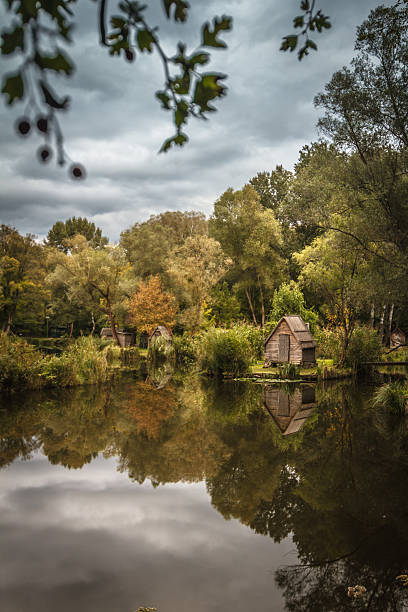 istock Fishing lake in the forest 614844788