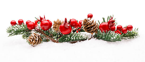 décoration de baies rouges de noël, berry branch pine tree cone isolé - christmas tree branch photos et images de collection