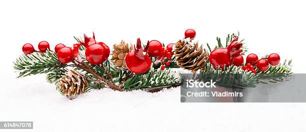 Christmas Red Berries Decoration Berry Branch Pine Tree Cone Isolated Stock Photo - Download Image Now