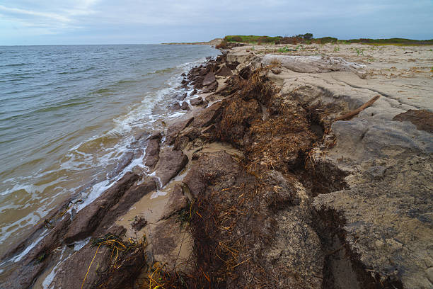 istock Natural peat pieces on the seashore, Sakhalin Island, Russia. 614849788