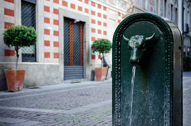 "Toret", Typical bull shaped fountain of Turin (Italy) stock photo