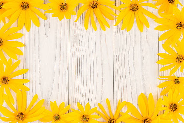 istock Yellow wild flower on white old wooden table. 614852032