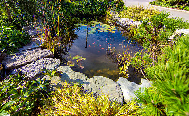 estanque en un hermoso jardín creativo de floración verde exuberante - deck chair summer grass outdoor chair fotografías e imágenes de stock