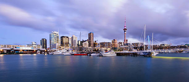 istock Auckland City Panorama. 614854546